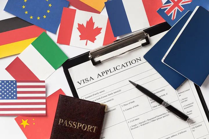 Visa Processing